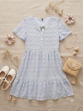 Alredine Powder Blue Swiss Dot Short Sleeve Babydoll Dress